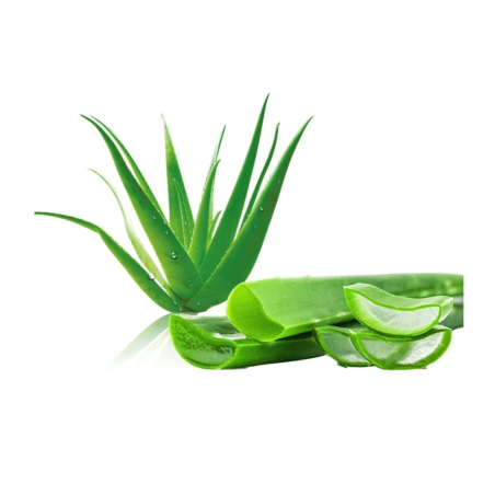 Aloe šťáva s bio buničinou EQUIHERBS 1l
