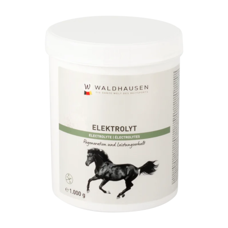 Electroliţii WALDHAUSEN Elektrolyt Powder 1000g