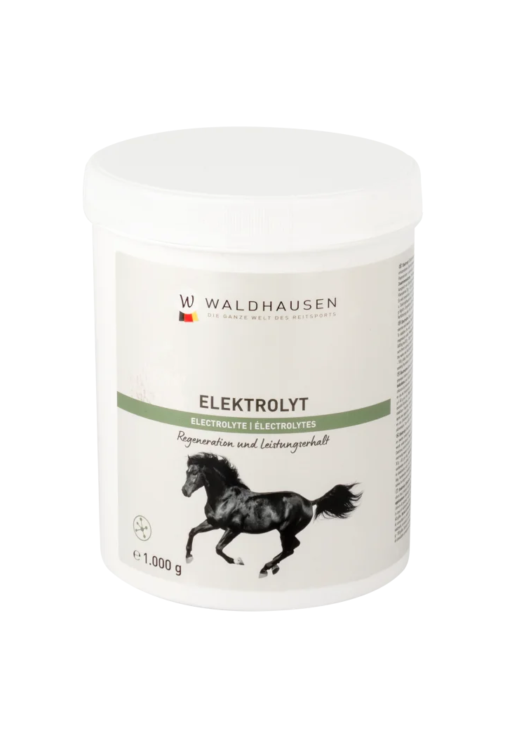 Elettroliti WALDHAUSEN Elektrolyt Powder 1000g