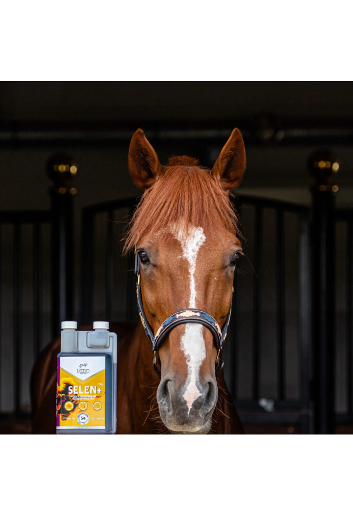 Ergänzung MEBIO Selen + Vitamin C und E 1l