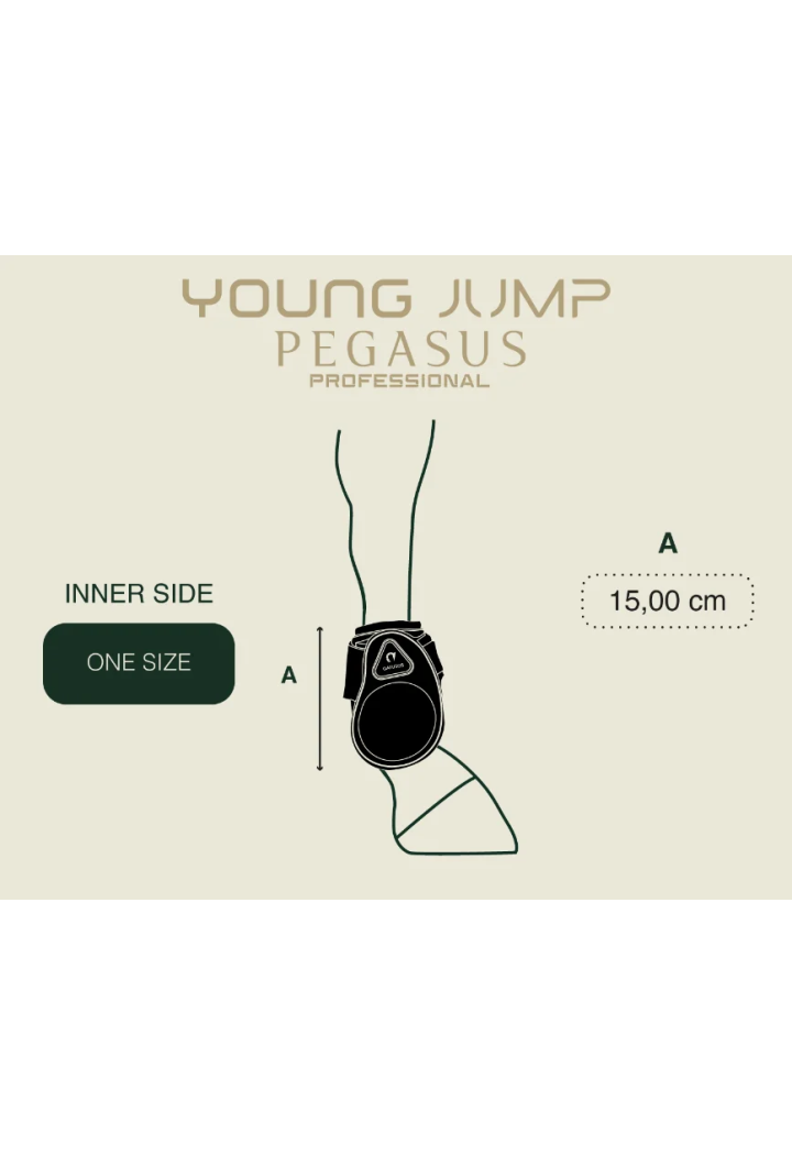 GATUSOS Chrániče Young Jump Pegasus