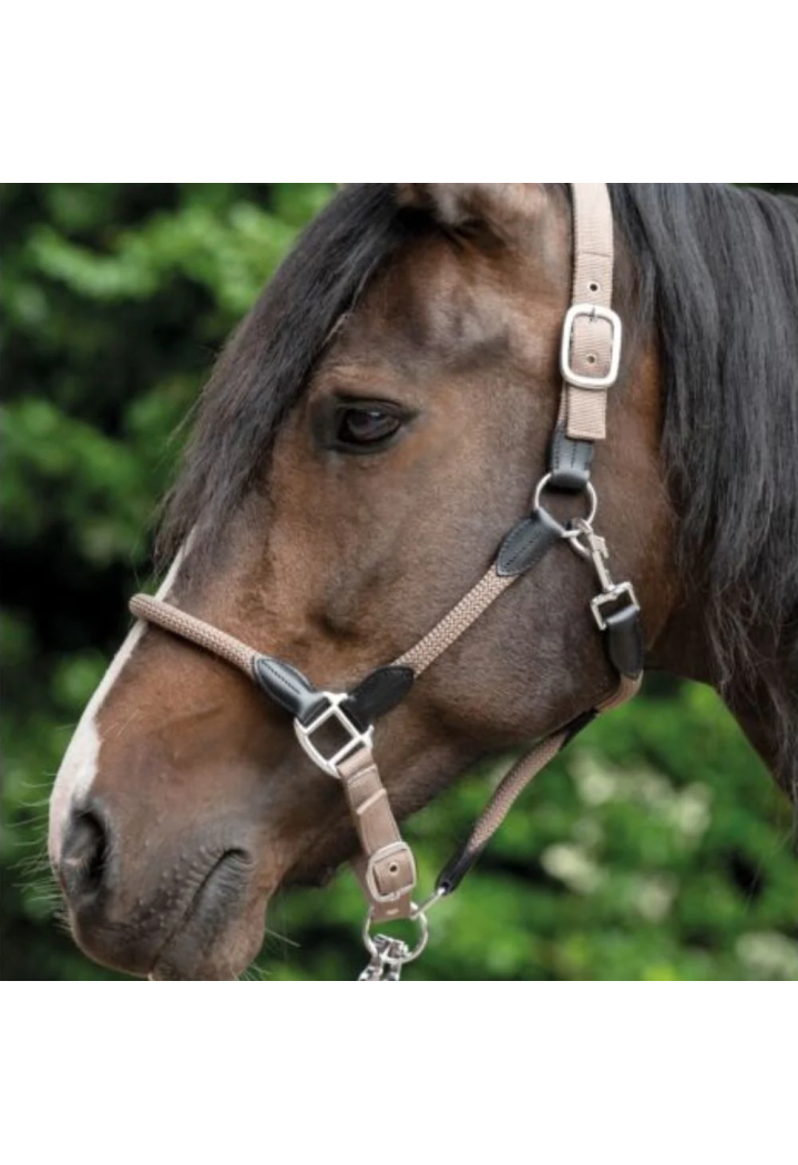 Headcollar HKM Carlotta