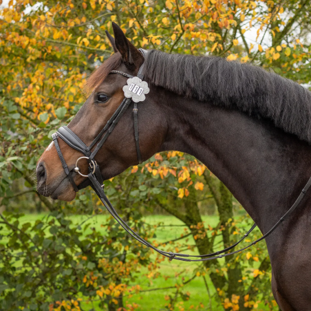 QHP Clover Start Nummern