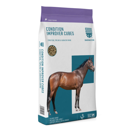 Pasza SARACEN Condition Improver cubes 20kg