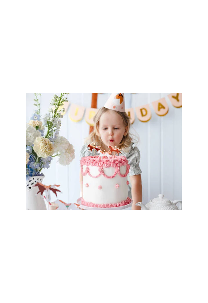 Raccoglitori per torta candele PARTYDECO Konie 3 pcs