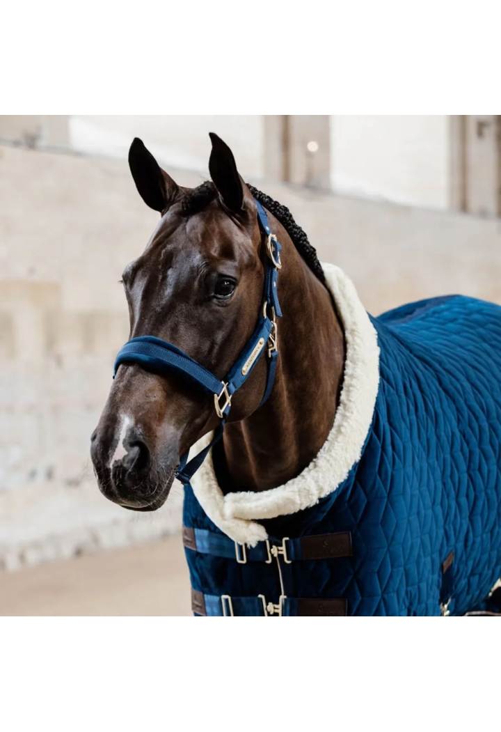 Căpăstru KENTUCKY Velvet