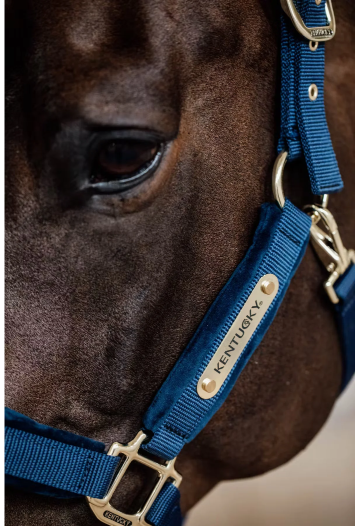 Ohlávka KENTUCKY Velvet