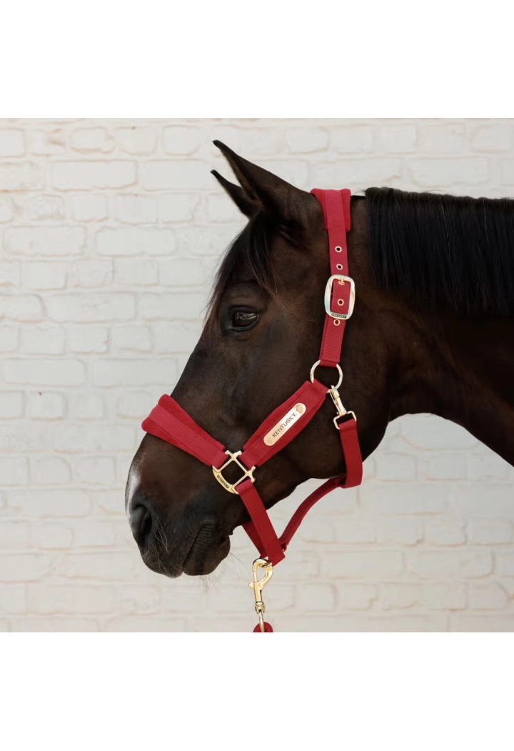 Headcollar KENTUCKY Velvet
