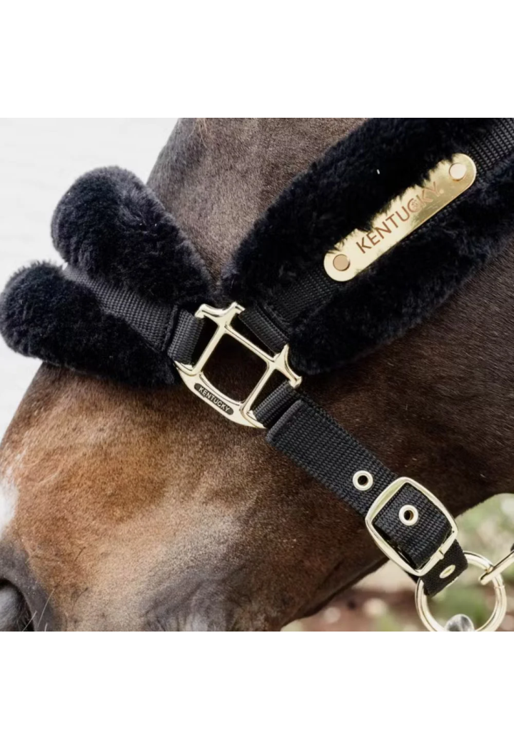 Halfter KENTUCKY SheepskinSoft