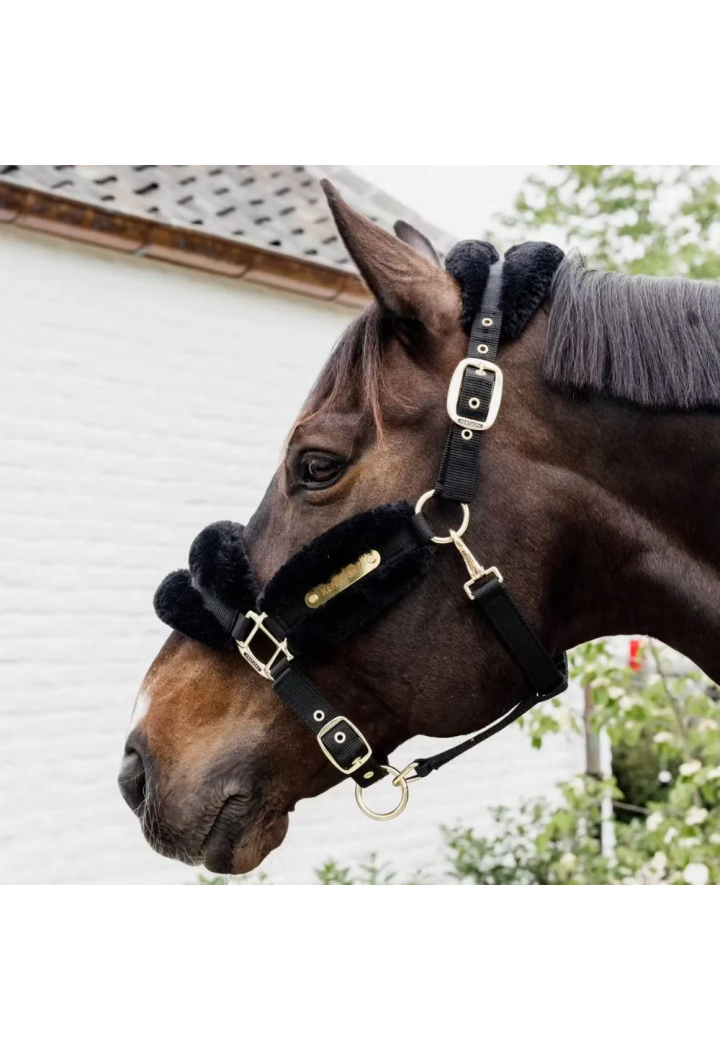 Headcollar KENTUCKY SheepskinSoft