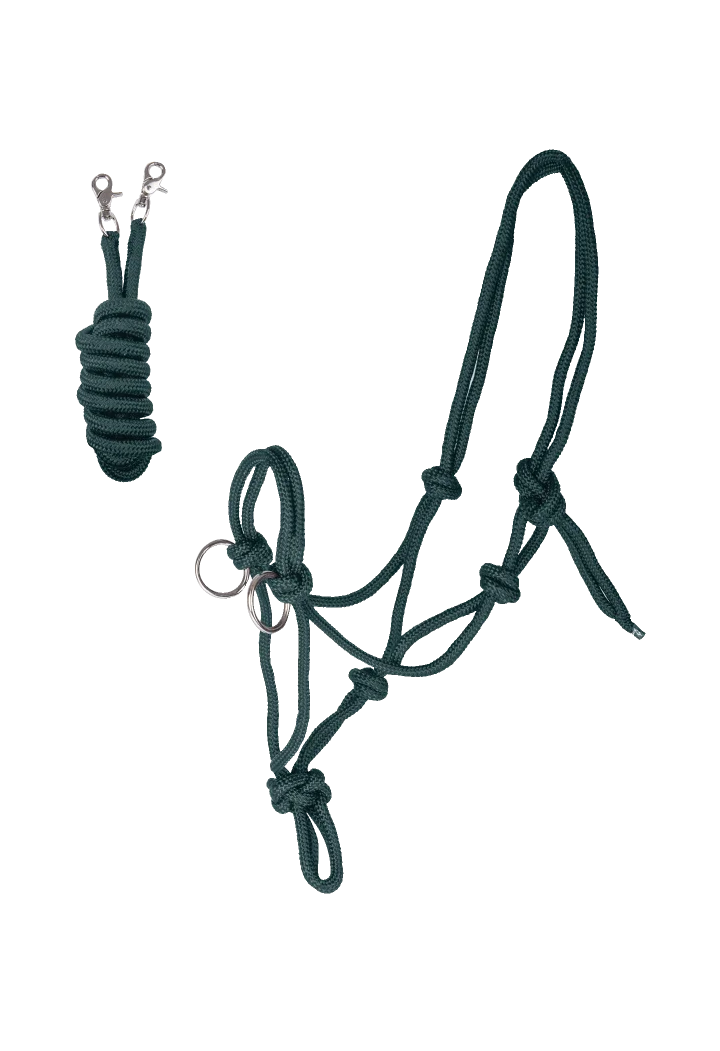 Headcollar string WALDHAUSEN with reins