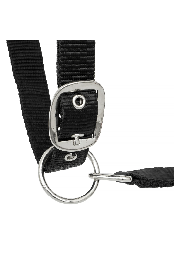Cavezza START Neoprene Glitter 2 tono
