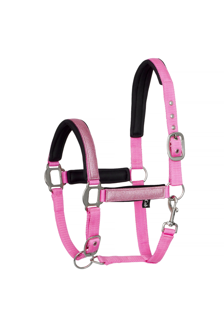 Căpăstru START Neoprene Glitter 2tone