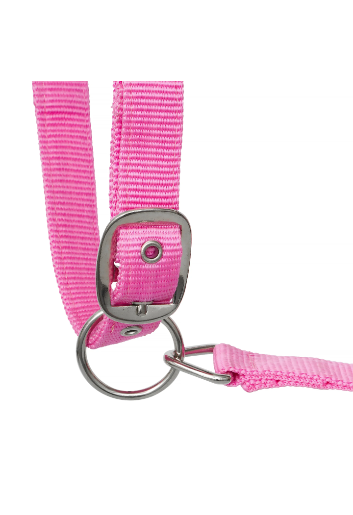 Cavezza START Neoprene Glitter 2 tono