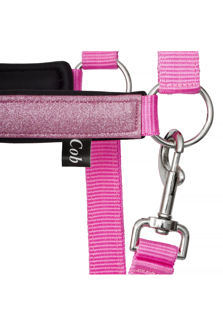 Căpăstru START Neoprene Glitter 2tone