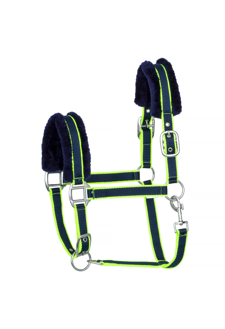 Headcollar START NTF