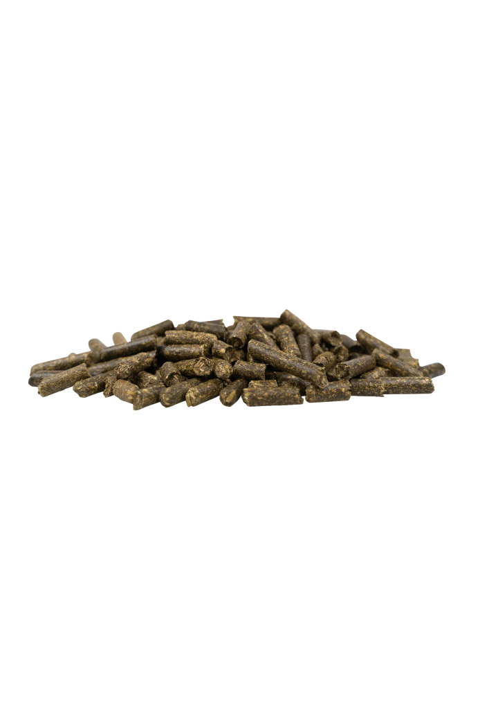 Lucerna JOSERA Kraut&Ruben Luzerne Pur 15kg