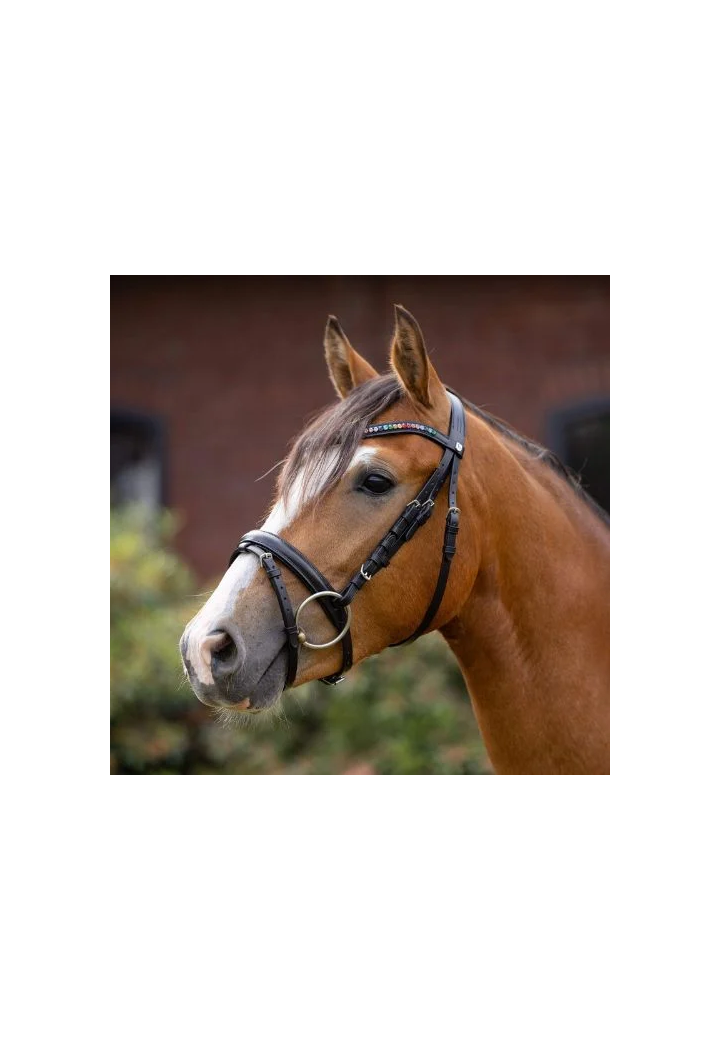 Bridle HORZE RainbowDash