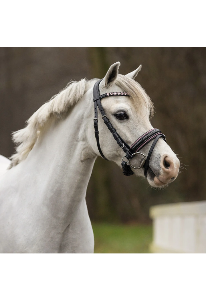 Bridle QHP Bixie
