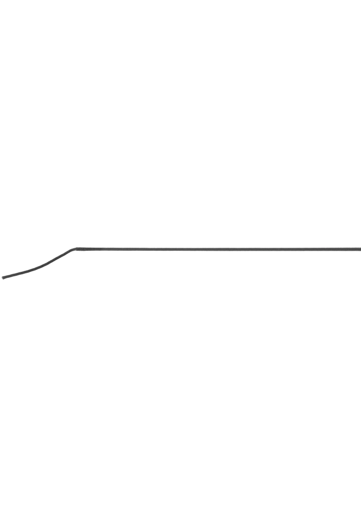 Dressage whip WHIP&GO Strassy
