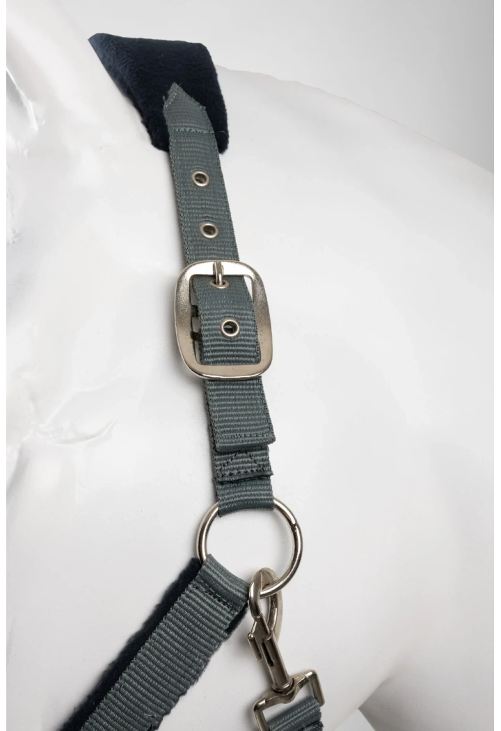 Headcollar lead rope HORZE Magic 25AW