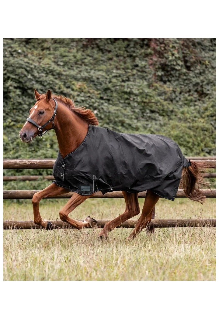 Pferdedecke padok WALDHAUSEN Nordic polar