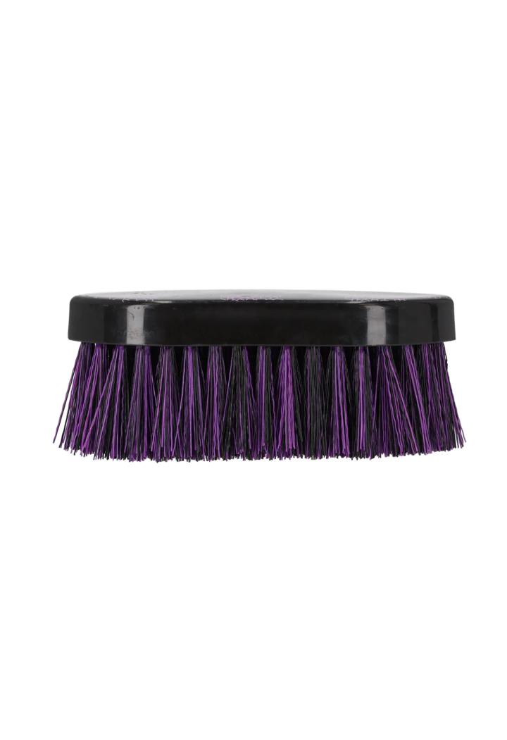 QHP brush Dandy Brush Lise 25AW