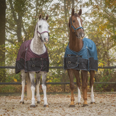 Turnout rug QHP Collection 25AW 50gr