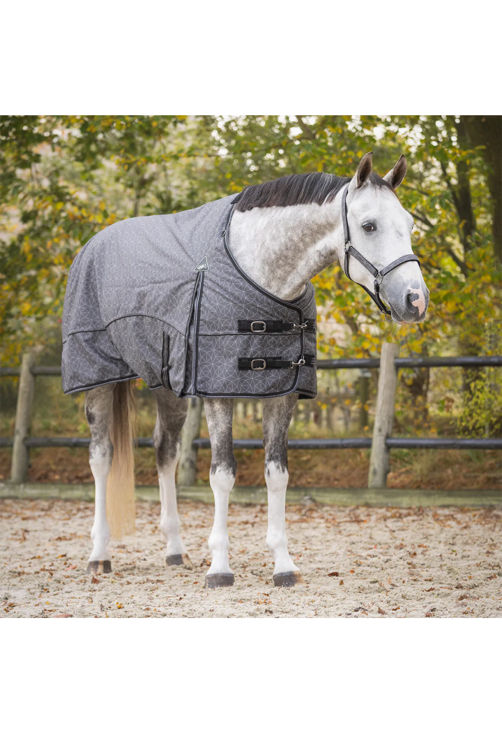Turnout rug QHP Collection 25AW 50gr