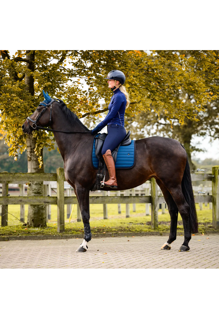 Riding breeches QHP Lymee 25AW softshell female