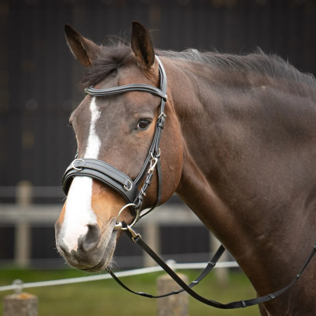 Căpăstru de lonjare HH Bridle Cavesson Leather