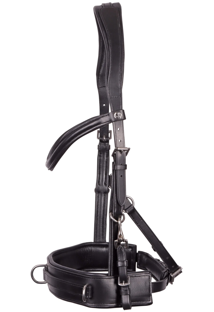 Kappzaum HH Bridle Cavesson Leder
