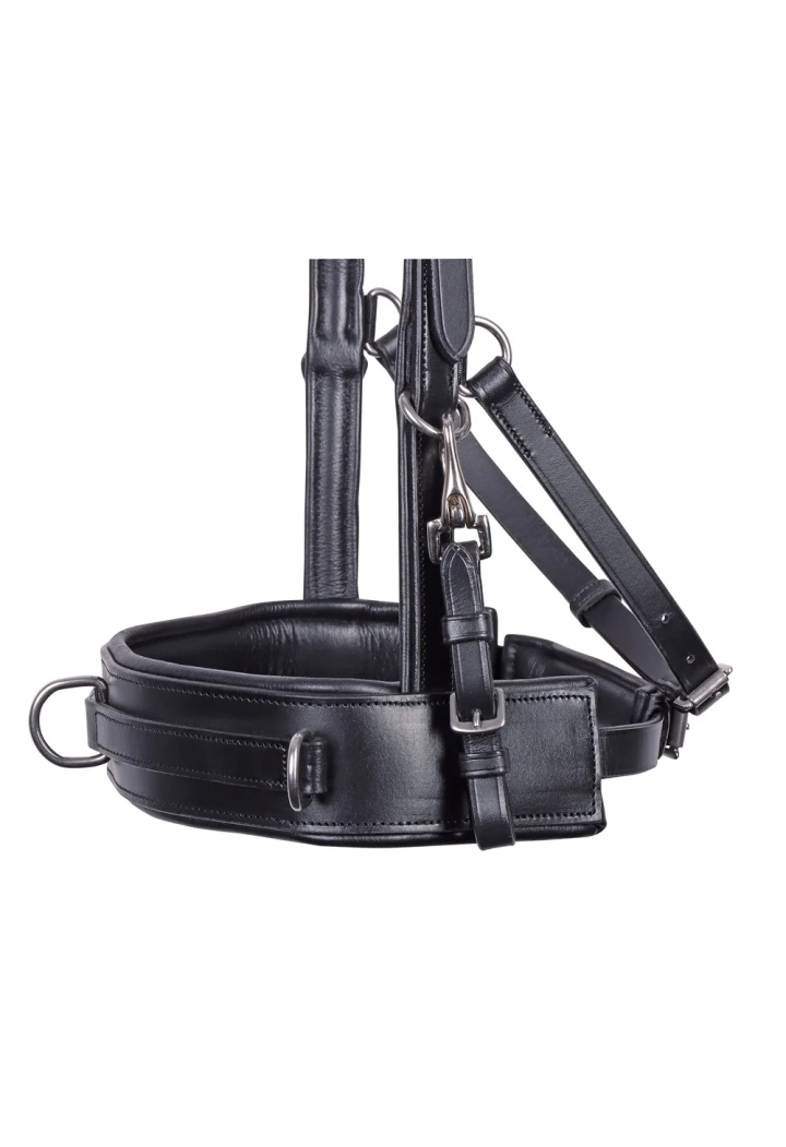 Obnosek HH Bridle Cavesson Leather
