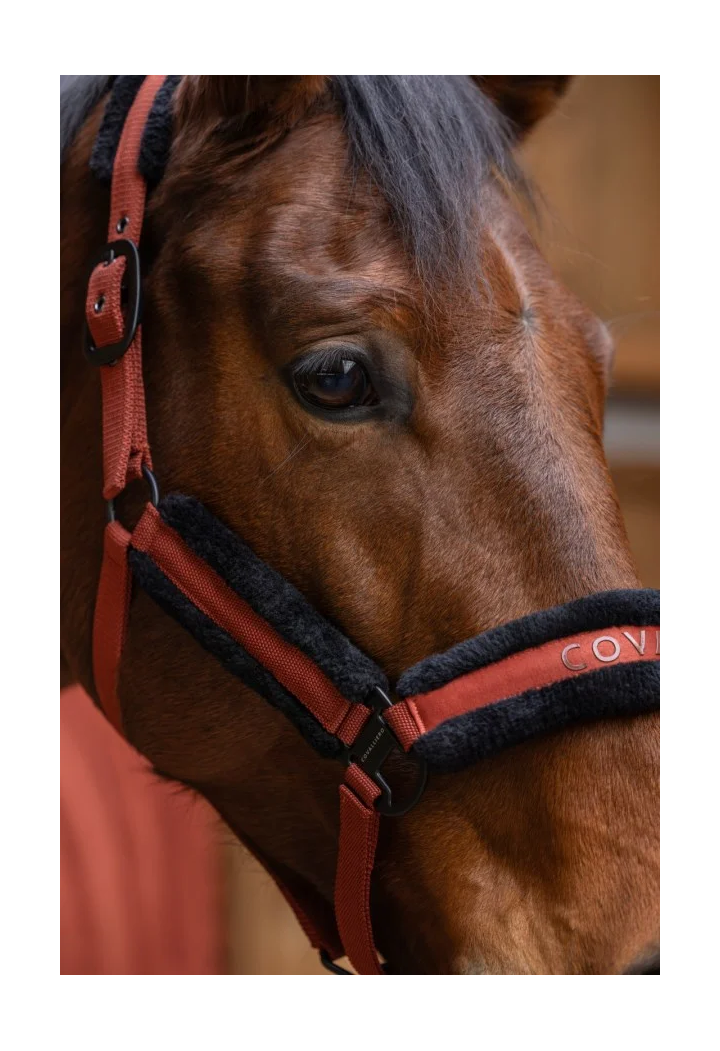 Halfter COVALLIERO 25 AW