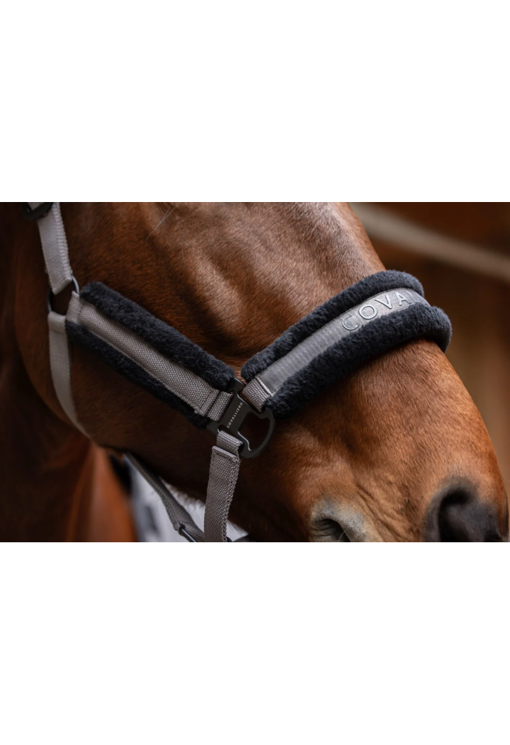 Headcollar COVALLIERO 25AW