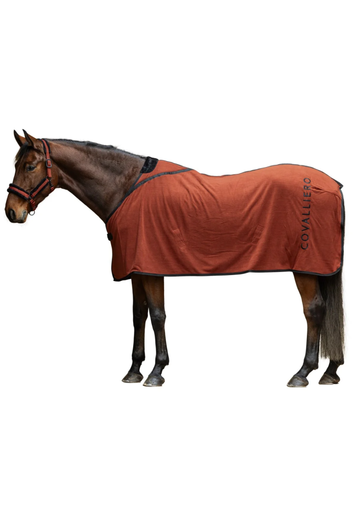 Fleece rug COVALLIERO 25AW