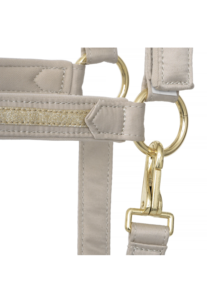 Căpăstru EQ.QUEEN Milan 25AW