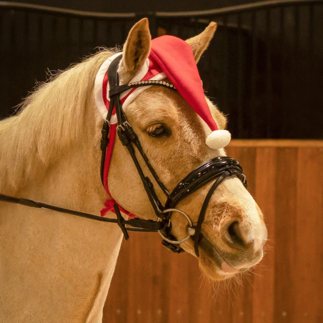 Capac de cal QHP ChristmasHorseHat