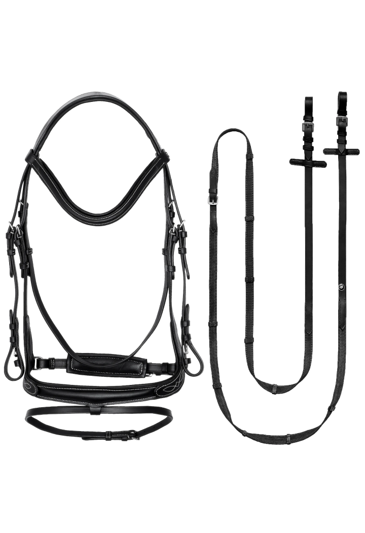 Frâu EQ.QUEEN Electra anatomic