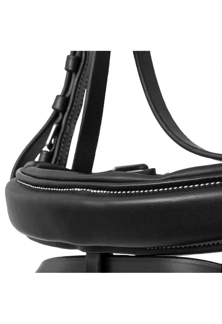 Bridle EQ.QUEEN Firebird