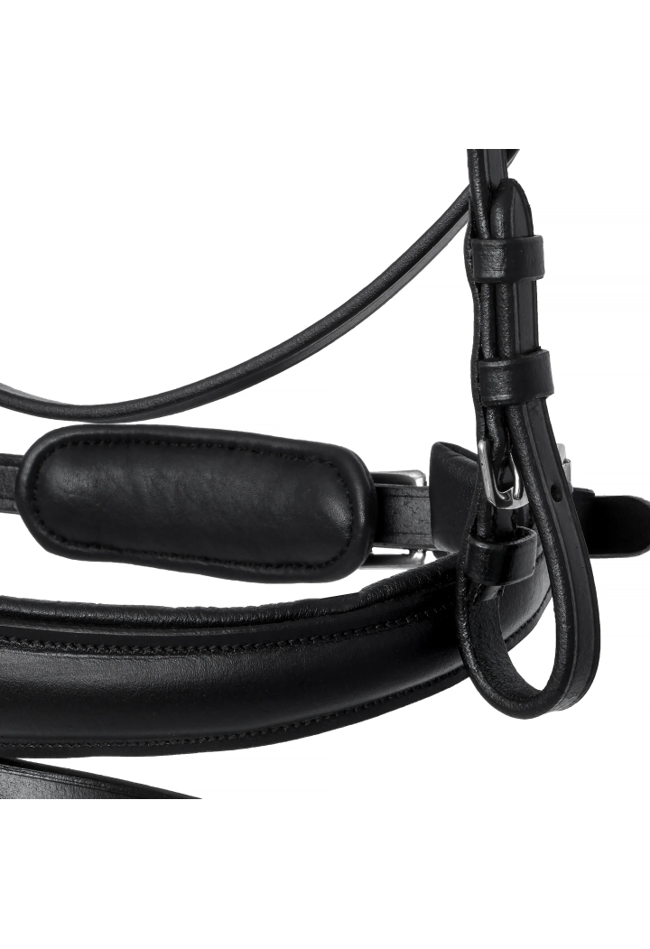 Bridle EQ.QUEEN Giant