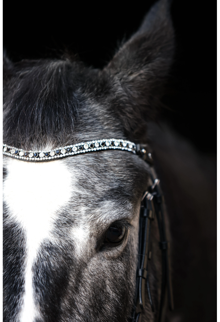 Browband EQ.QUEEN Hebe