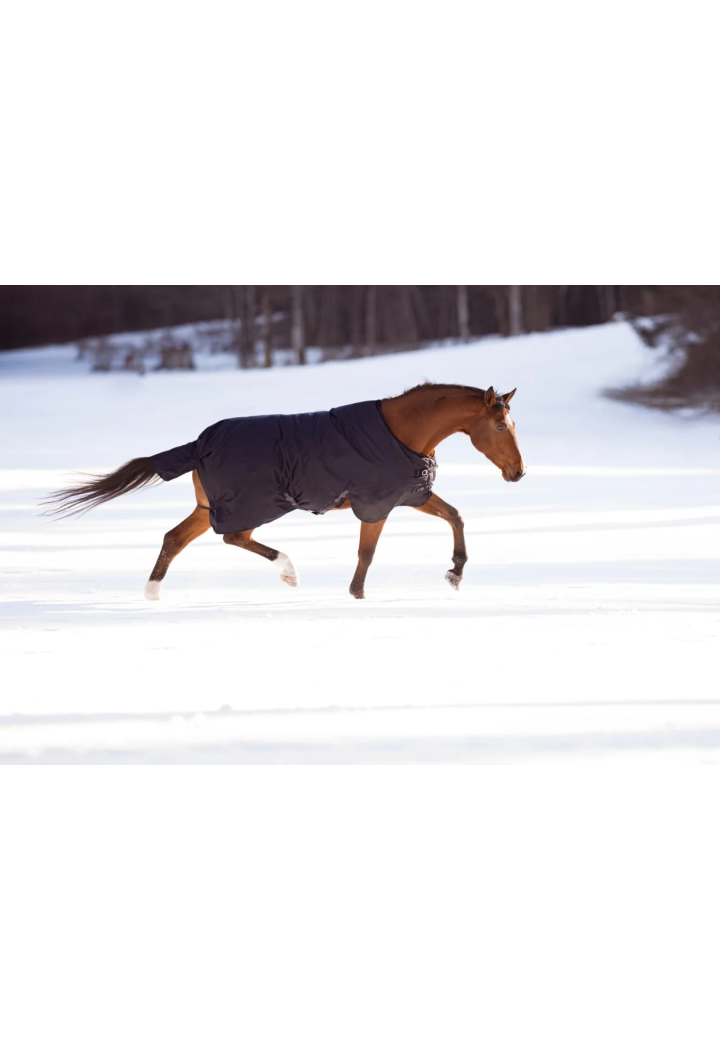Horse rug anti-rain COVALLIERO RugBe 50g