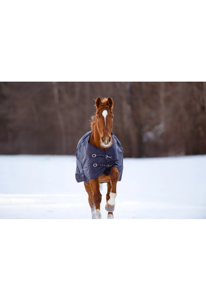 Horse rug anti-rain COVALLIERO RugBe 50g