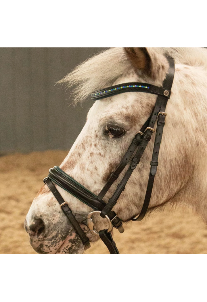 Bridle HH STOUT! Lime 25AW