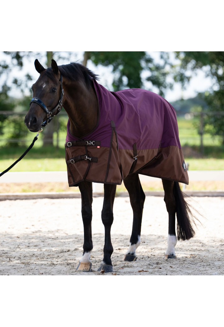 Horse rug pad. IR IRHCustomizedHighNeck0gr