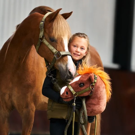 Horse on IR IRHGrand Prix HobbyHorse