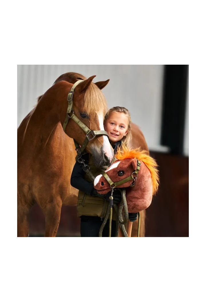 Cal pe IR IRHGrand Prix HobbyHorse