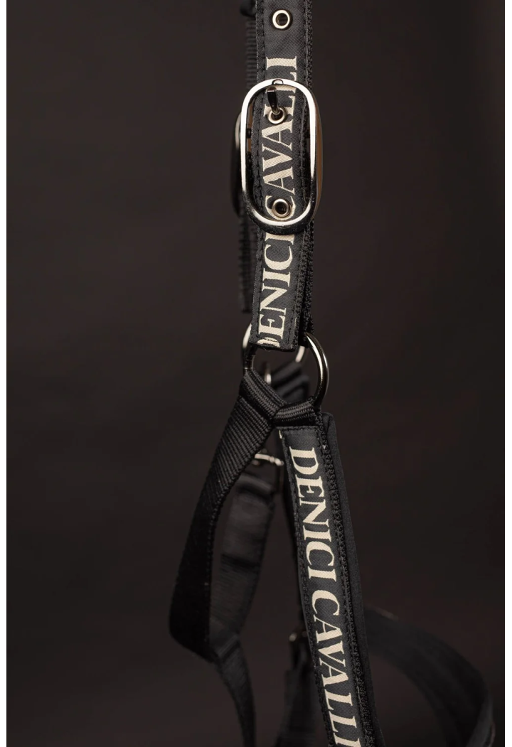 Headcollar+Lead rope HH DenisCavalliStardust AW25