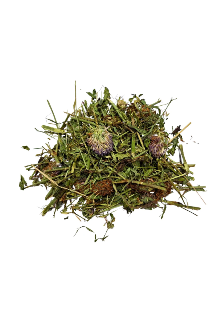 Červený jetel SAMFARM 1kg